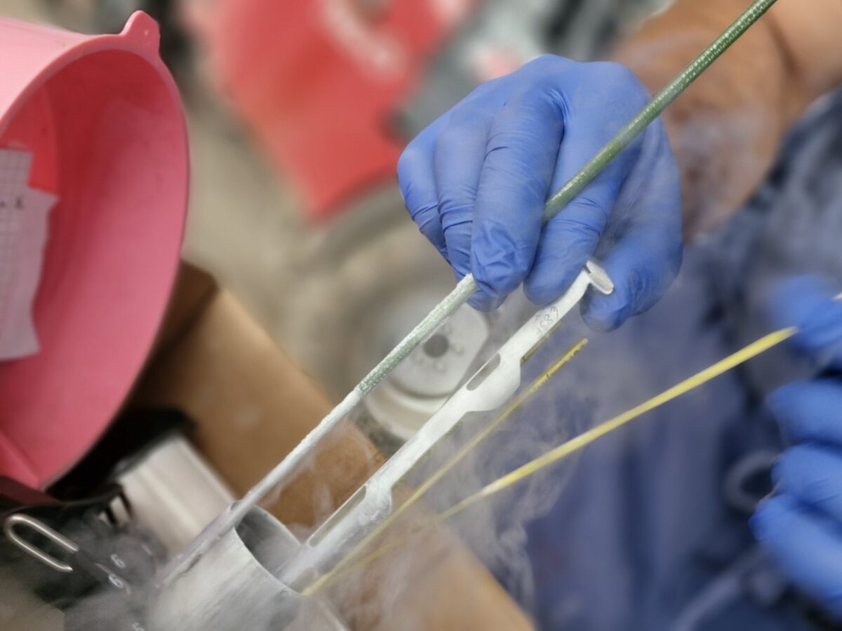 10 embryos successfully implanted with the help of Bulgarian experts image